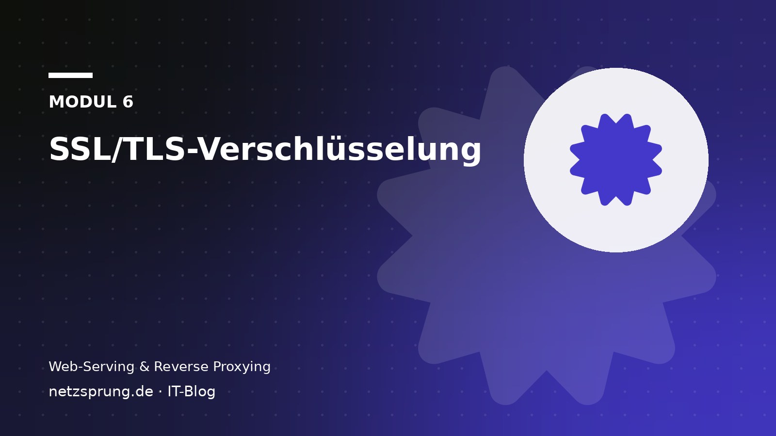 SSL/TLS-Verschlüsselung