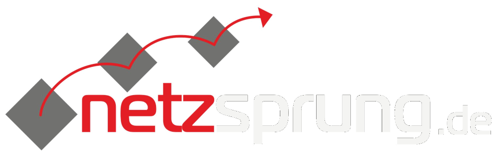 netzsprung.de